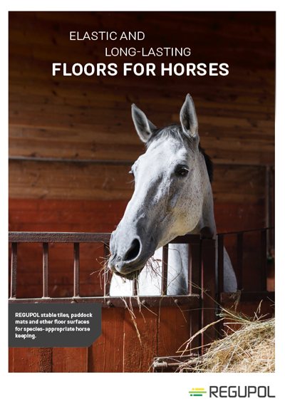 Horse in Stable - brochure cover